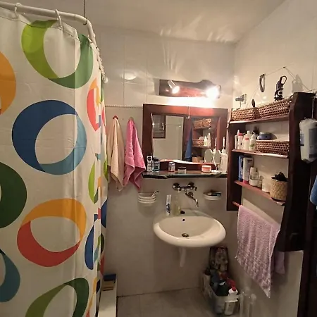 Mountain Borut 木屋 科帕奥尼克