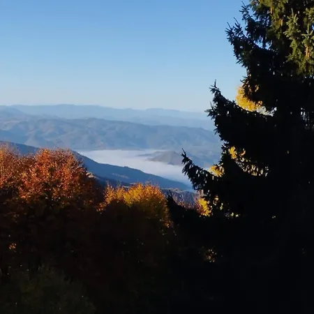 木屋 Mountain Borut *