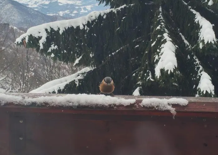 Mountain Borut 木屋