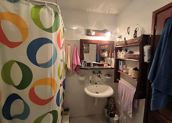 Mountain Borut 木屋 科帕奥尼克