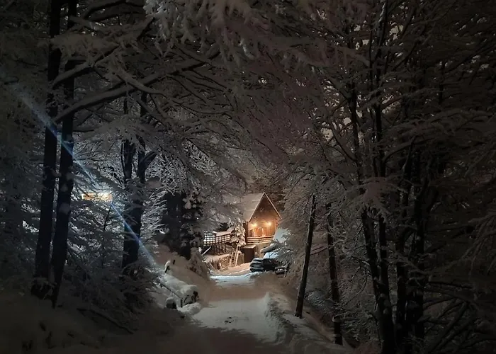 Mountain Borut 木屋