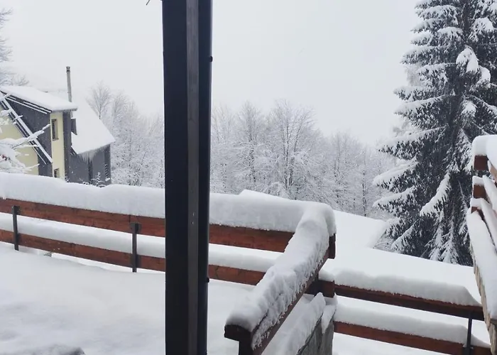 木屋 Mountain Borut 科帕奥尼克