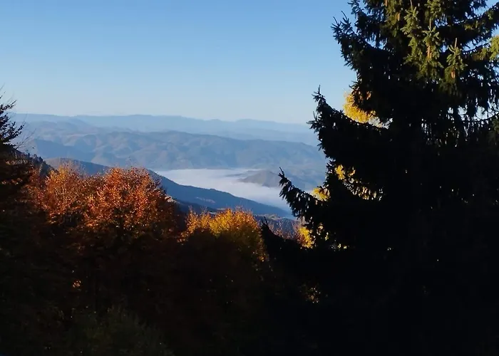 木屋 Mountain Borut *