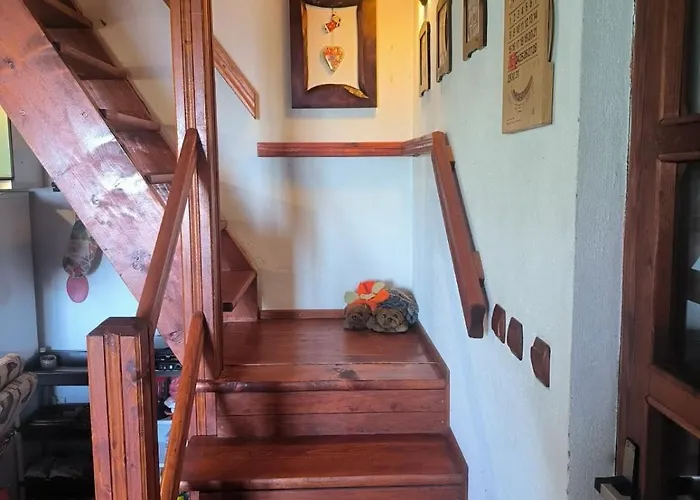 木屋 Mountain Borut